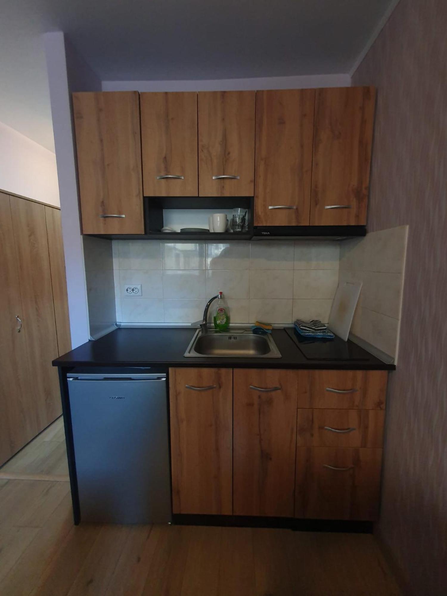 Mechka Ski Apartment Banszko Kültér fotó